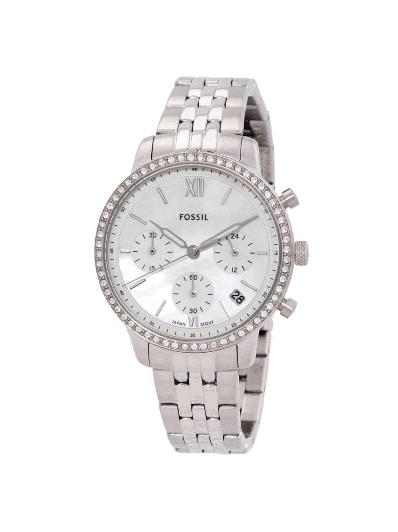 NEUTRA – FOSSIL
