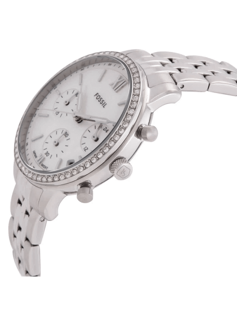 NEUTRA – FOSSIL - Image 2